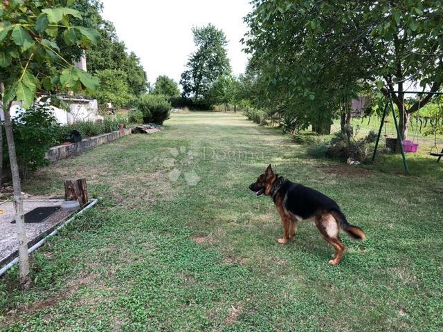 Terreno edificabile Manjadvorci, Barban, 6.149m2