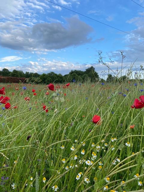 Terreno edificabile Manjadvorci, Barban, 6.149m2