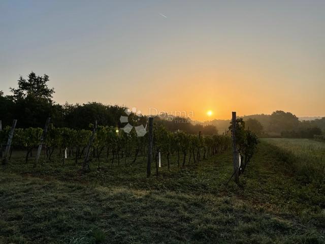 Terreno edificabile Manjadvorci, Barban, 6.149m2