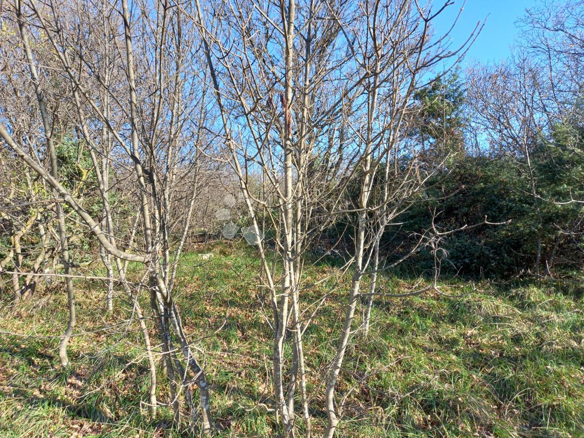 Kostrena, terreno con vista mare