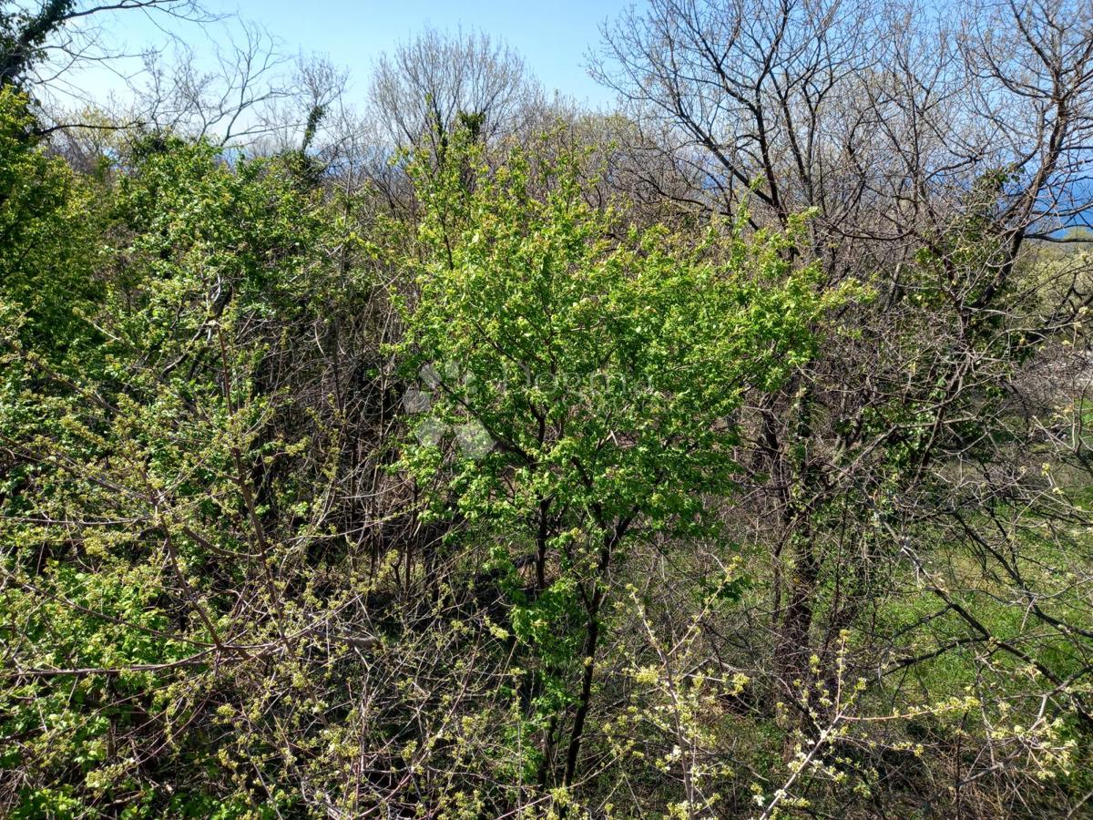 Kostrena, terreno con vista mare