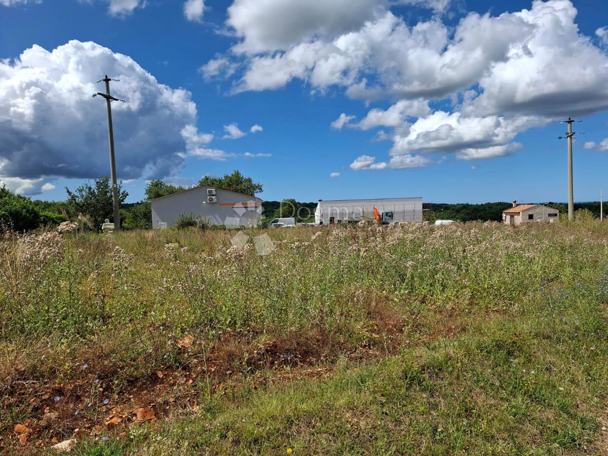 TINJAN - Terreno edificabile 1200m2 VISTA MARE