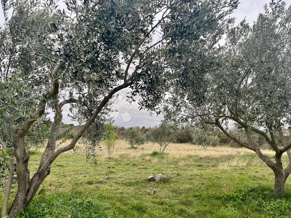 Terreno edificabile Raštević, Benkovac, Da, 9.490m2