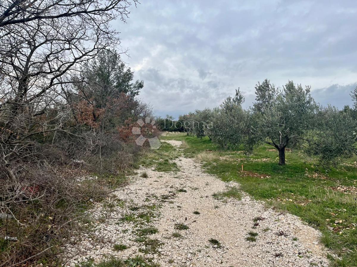 Terreno edificabile Raštević, Benkovac, Da, 9.490m2