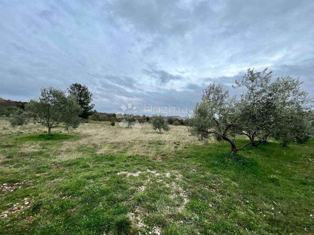 Terreno edificabile Raštević, Benkovac, Da, 9.490m2