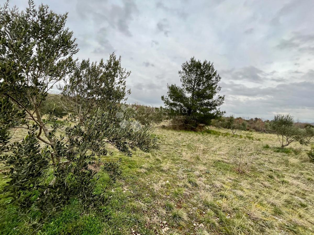 Terreno edificabile Raštević, Benkovac, Da, 9.490m2