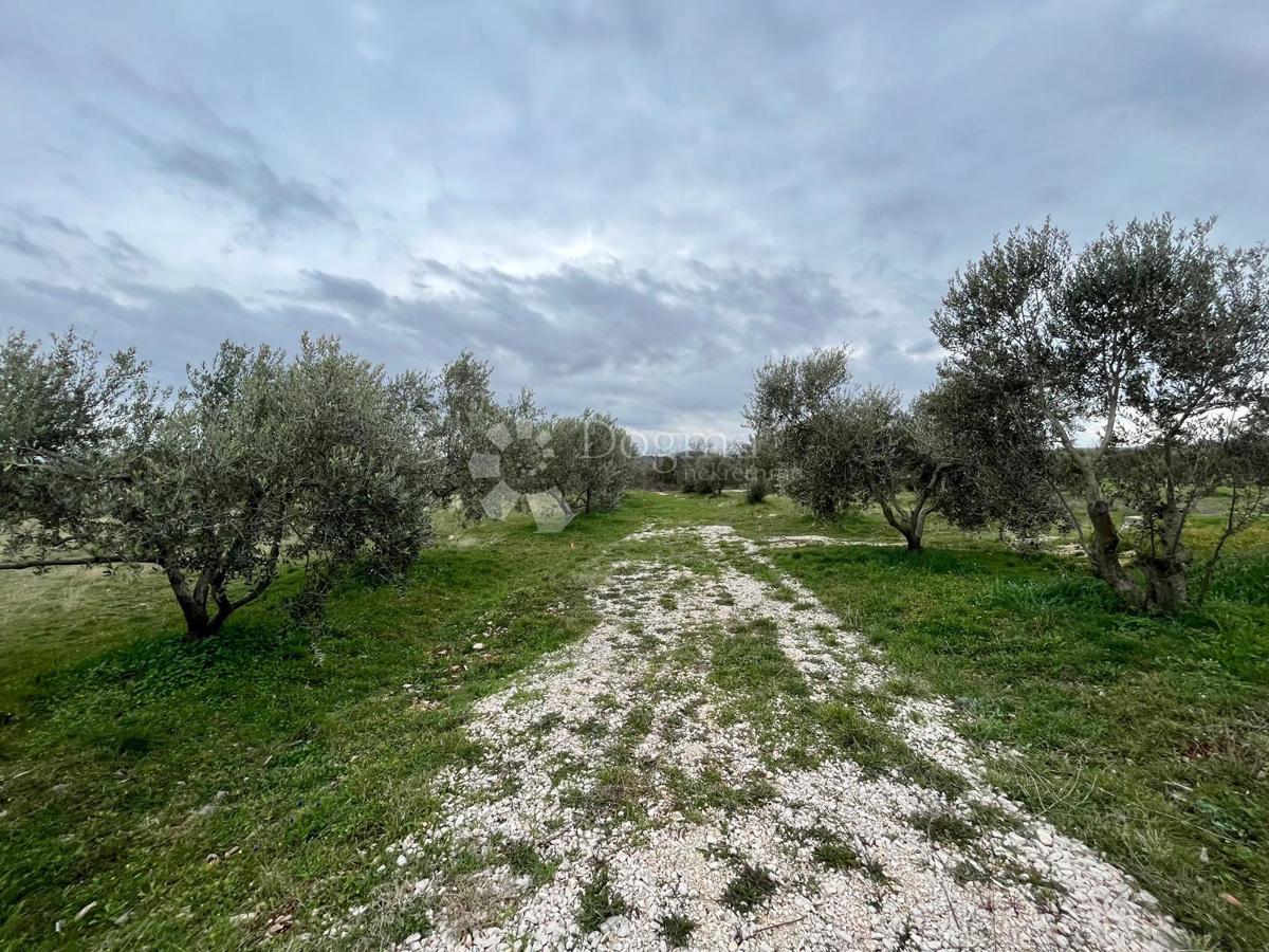Terreno edificabile Raštević, Benkovac, Da, 9.490m2
