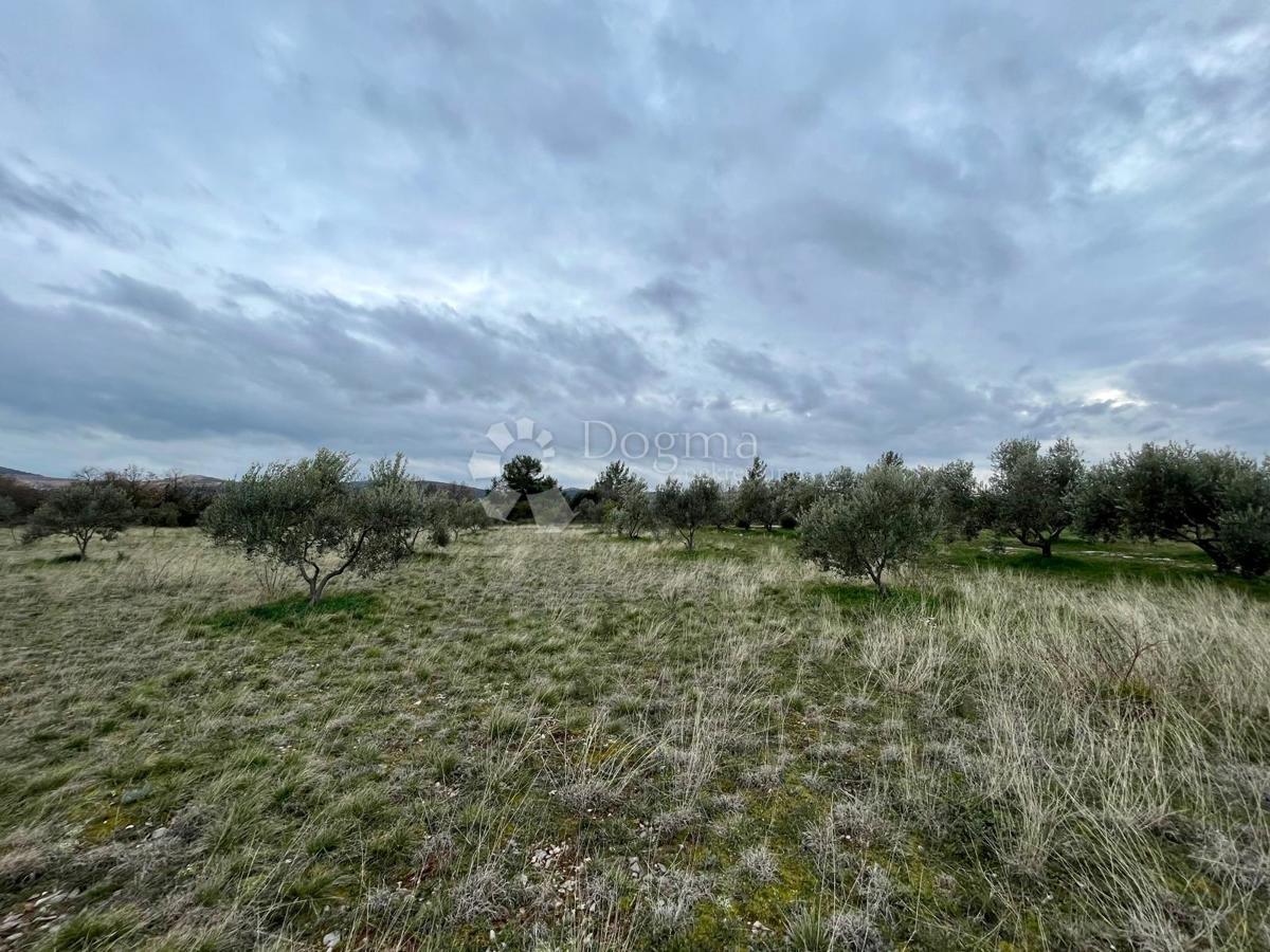 Terreno edificabile Raštević, Benkovac, Da, 9.490m2