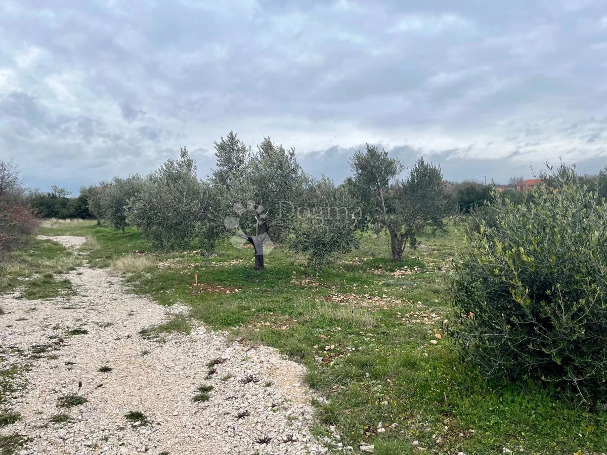 Terreno edificabile Raštević, Benkovac, Da, 9.490m2