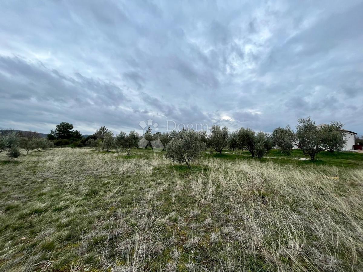 Terreno edificabile Raštević, Benkovac, Da, 9.490m2