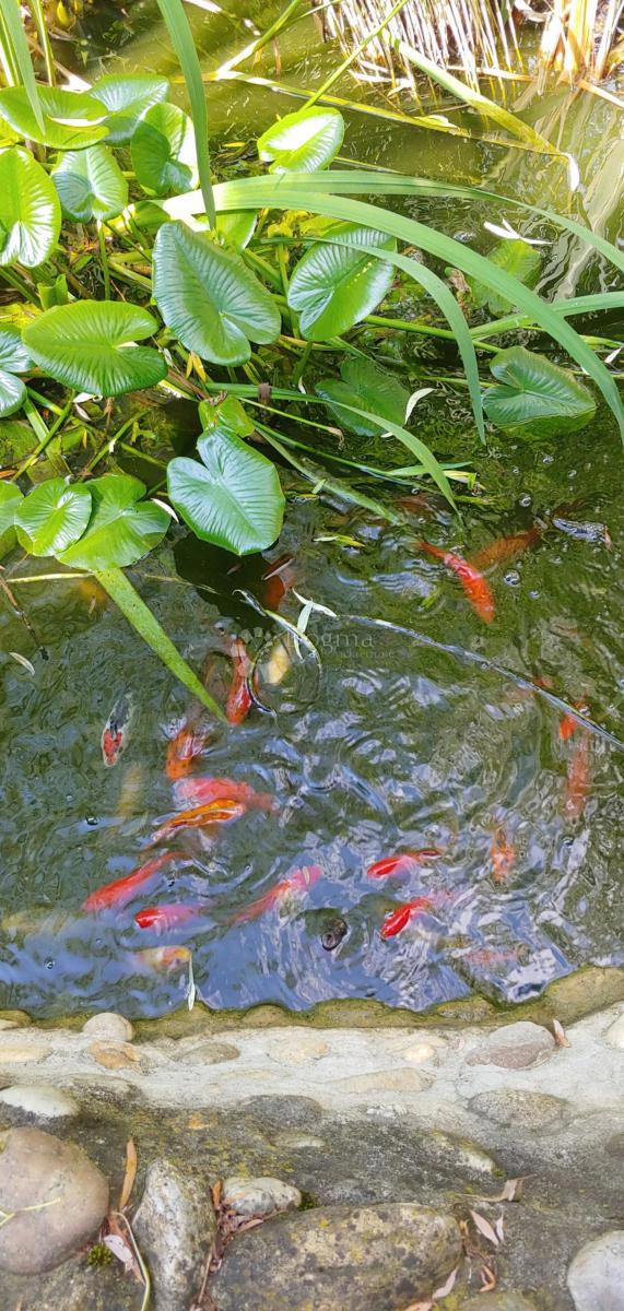 Casa Goričica, Sveti Ivan Zelina, 470m2