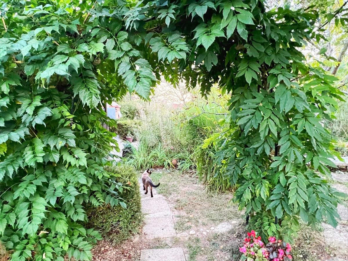 Casa Goričica, Sveti Ivan Zelina, 470m2