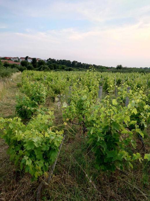 Terreno edificabile Benkovac, 1.871m2