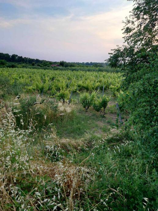 Terreno edificabile Benkovac, 1.871m2