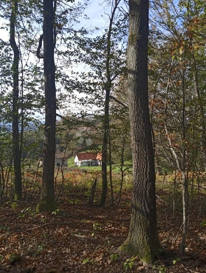 Casa Tušilović, Karlovac - Okolica, 136m2