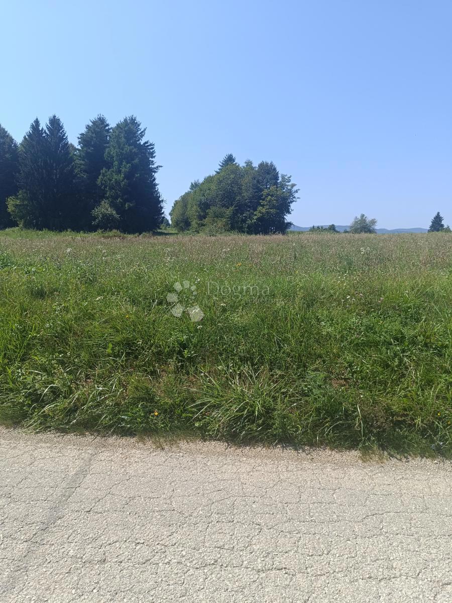 Terreno agricolo Podrebar, Bosiljevo, 109.428m2