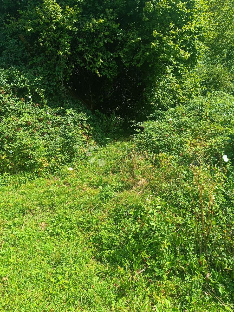 Terreno agricolo Podrebar, Bosiljevo, 109.428m2