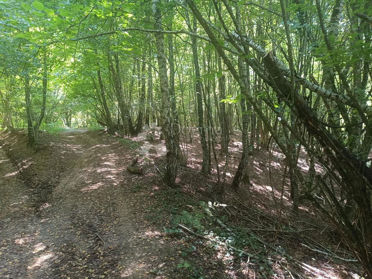 Terreno agricolo Podrebar, Bosiljevo, 109.428m2