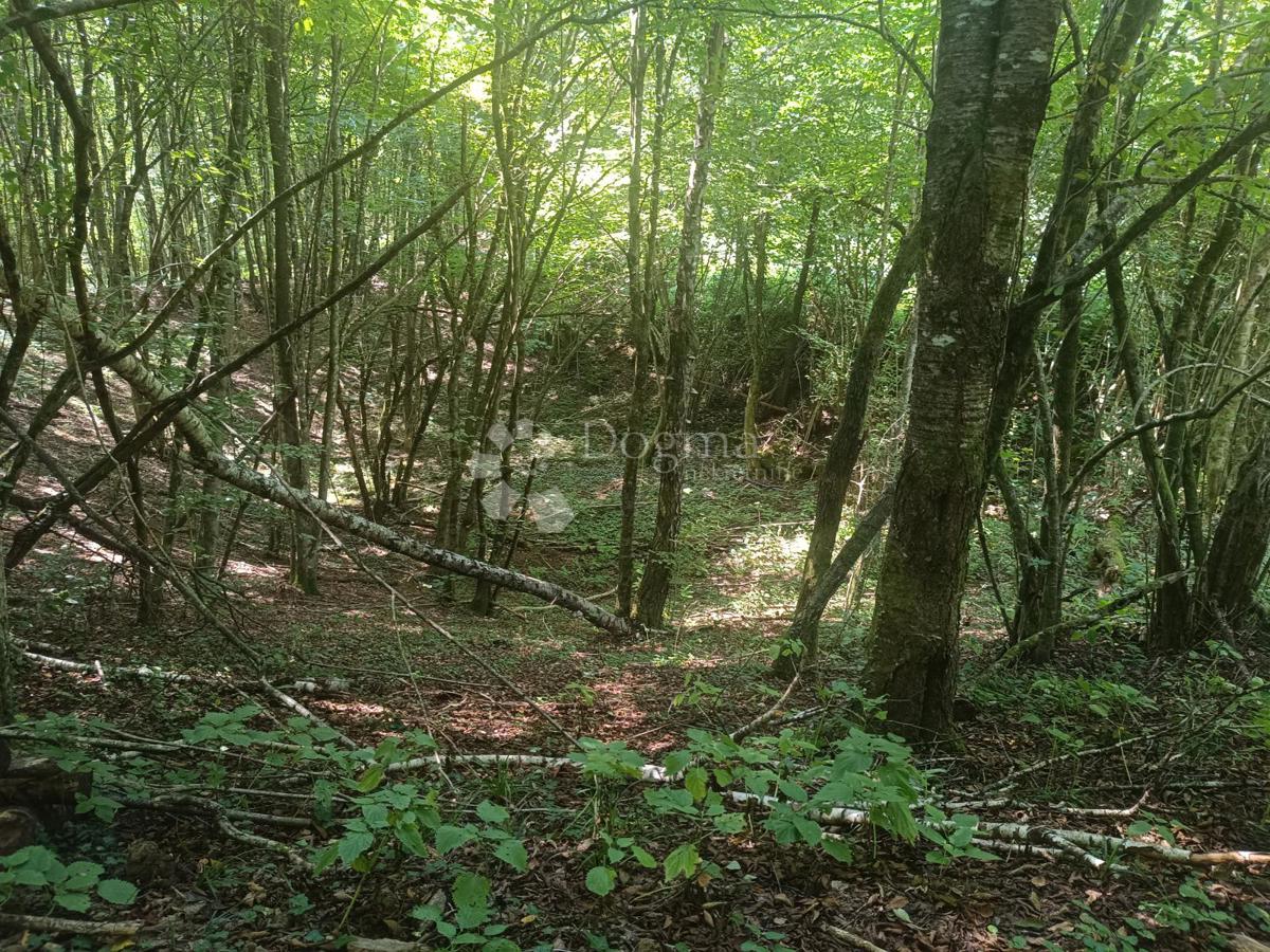 Terreno agricolo Podrebar, Bosiljevo, 109.428m2