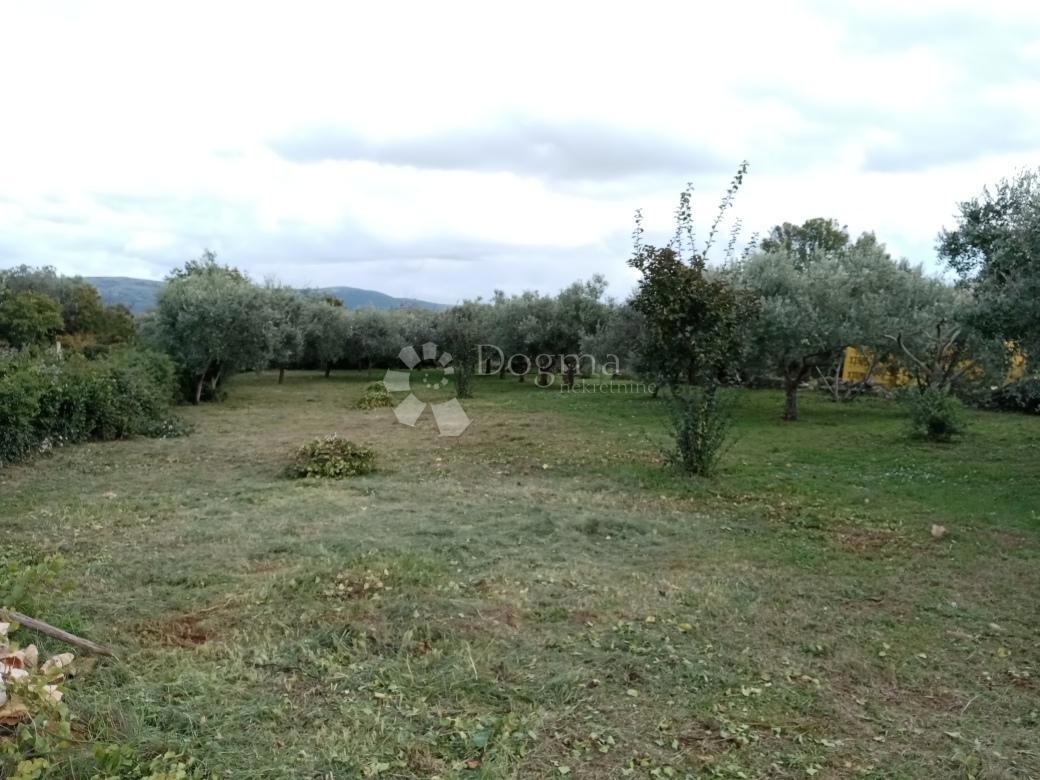 Casa Rakalj, Marčana, 280m2