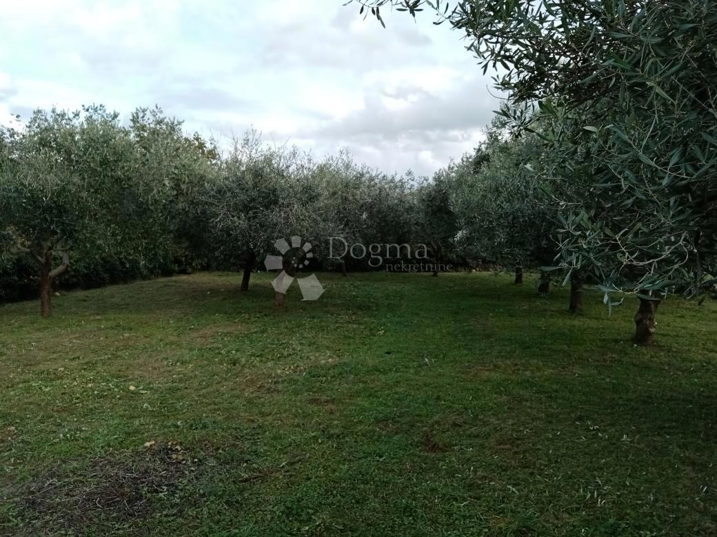 Casa Rakalj, Marčana, 280m2