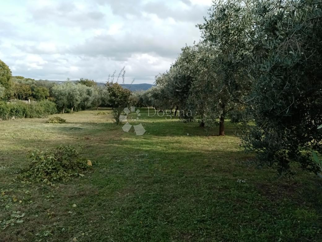 Casa Rakalj, Marčana, 280m2