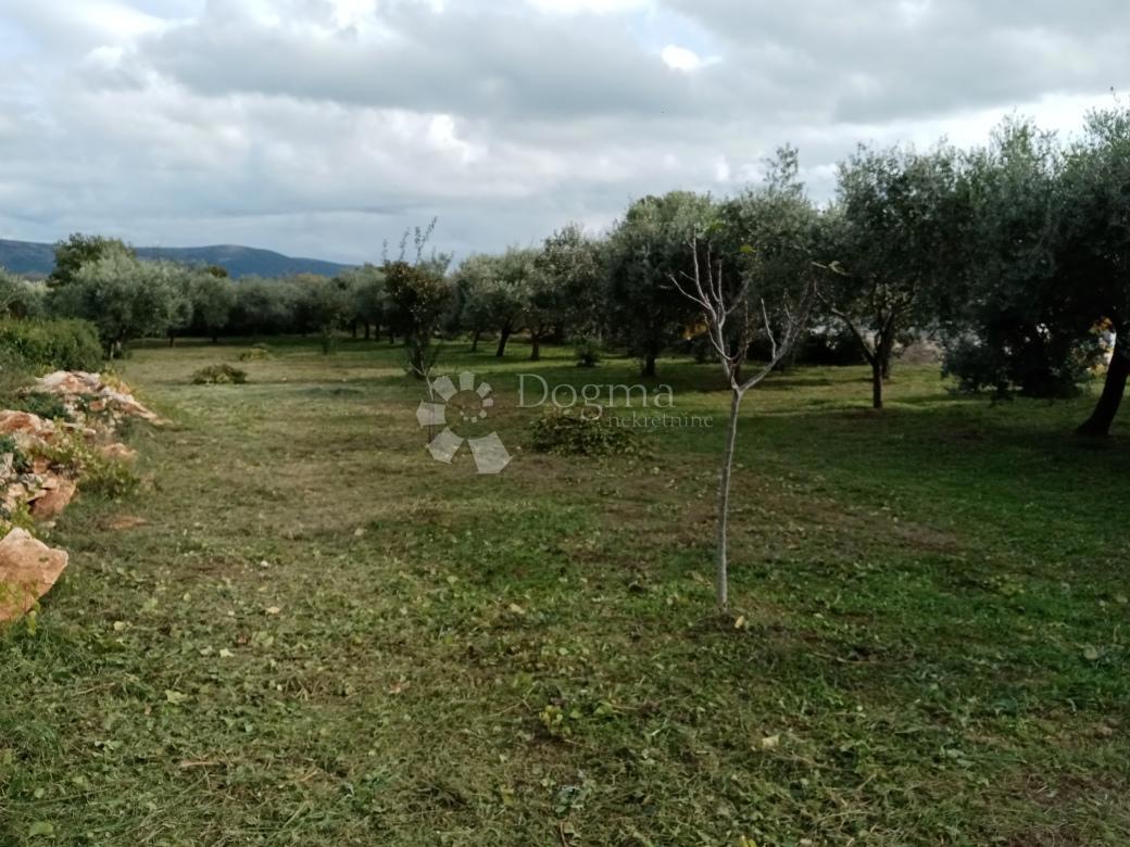 Casa Rakalj, Marčana, 280m2