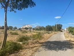 Terreno edificabile Pridraga, Novigrad, 726m2