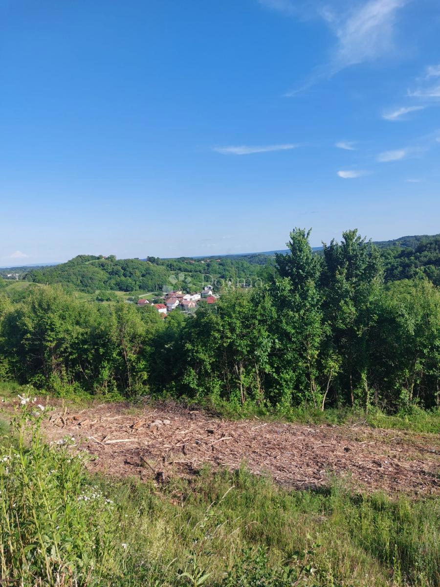 Terreno edificabile Blaškovec, Sveti Ivan Zelina, 3.998m2