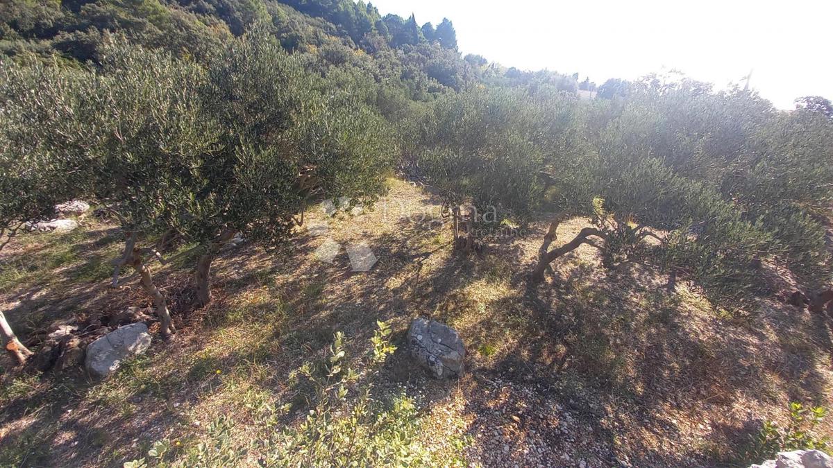 Terreno edificabile Živogošće, Podgora, 604m2