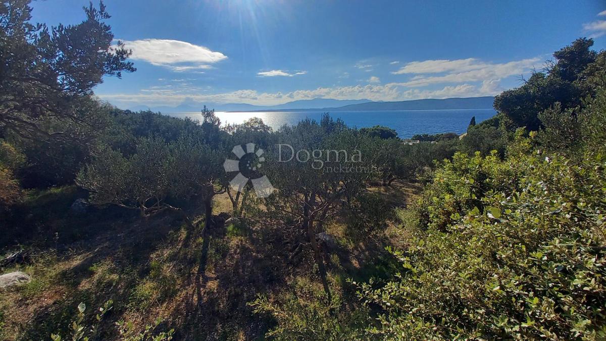 Terreno edificabile Živogošće, Podgora, 604m2