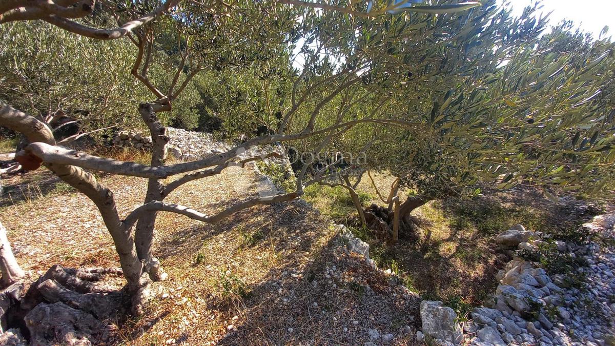 Terreno edificabile Živogošće, Podgora, 604m2