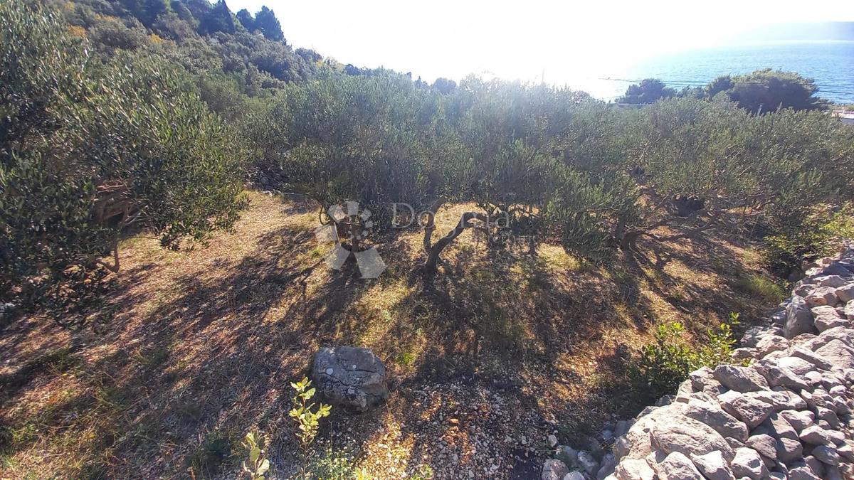 Terreno edificabile Živogošće, Podgora, 604m2