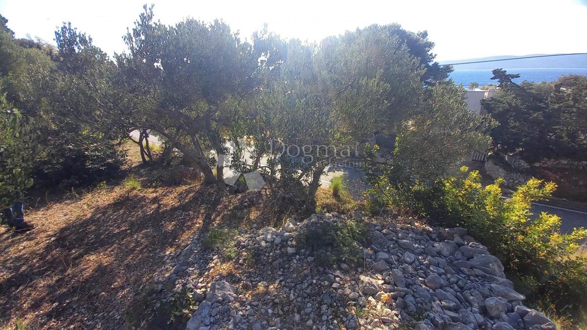 Terreno edificabile Živogošće, Podgora, 604m2