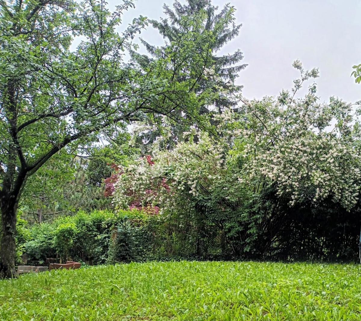 Casa Britanac, Gornji Grad - Medveščak, 350m2