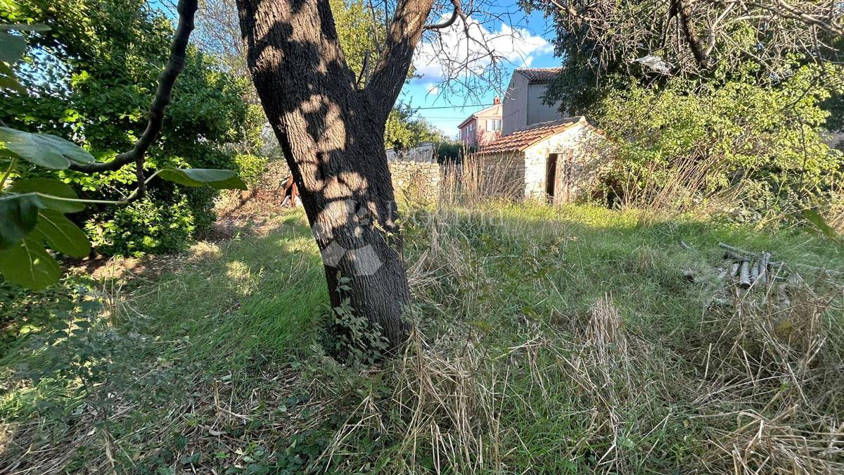 CASA SEMINDIPENDENTE CON GIARDINO - Šišan