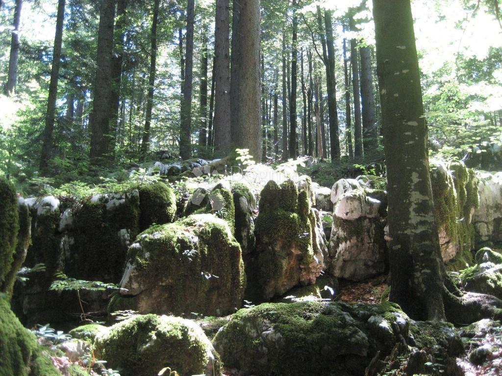 Casa Gorani, Skrad, 116m2