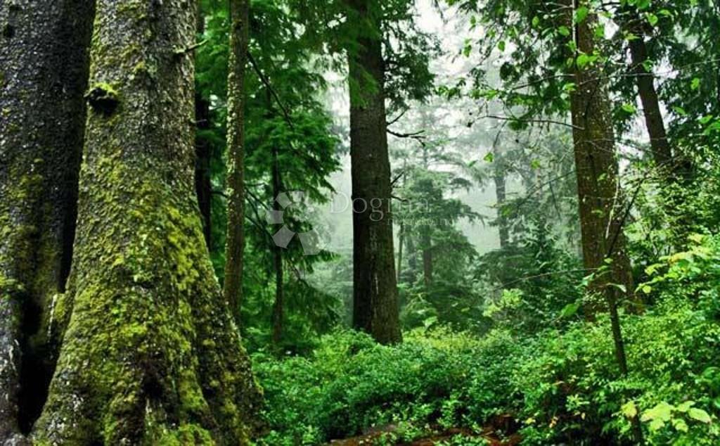 Casa Gorani, Skrad, 116m2