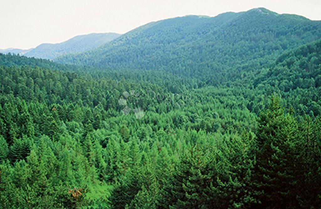 Casa Gorani, Skrad, 116m2