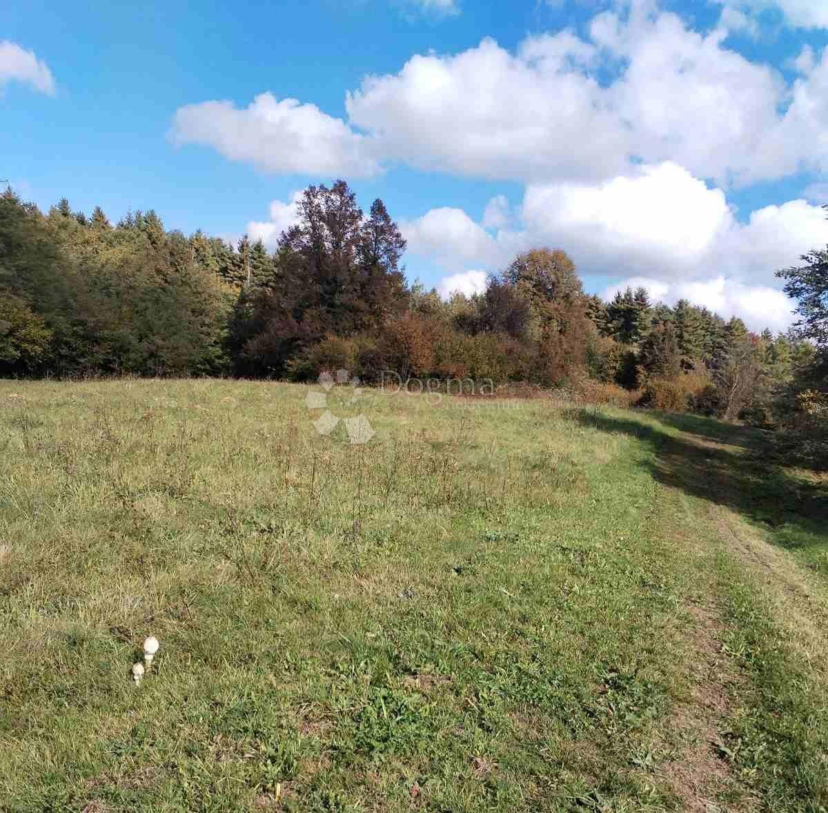 Terreno edificabile Ogulin, 4.476m2