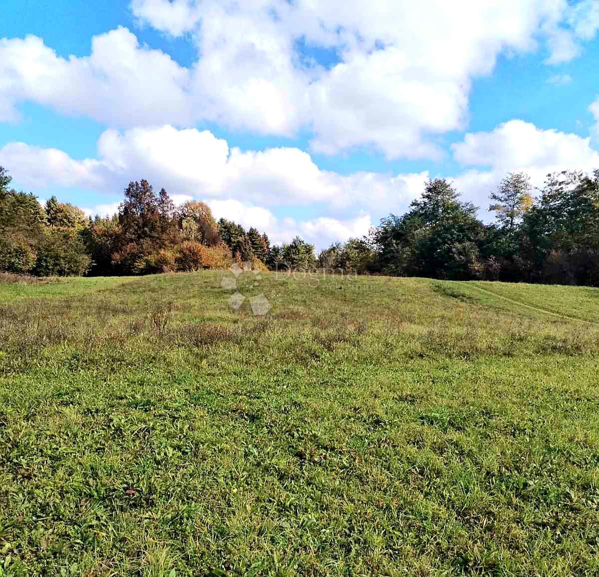 Terreno edificabile Ogulin, 4.476m2