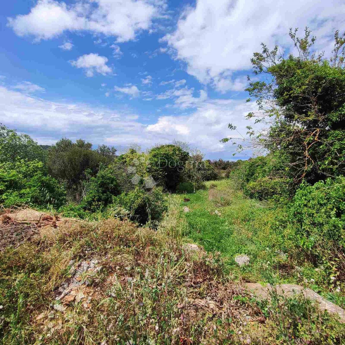 Terreno edificabile Božava 571 m2 - 150 m dal mare