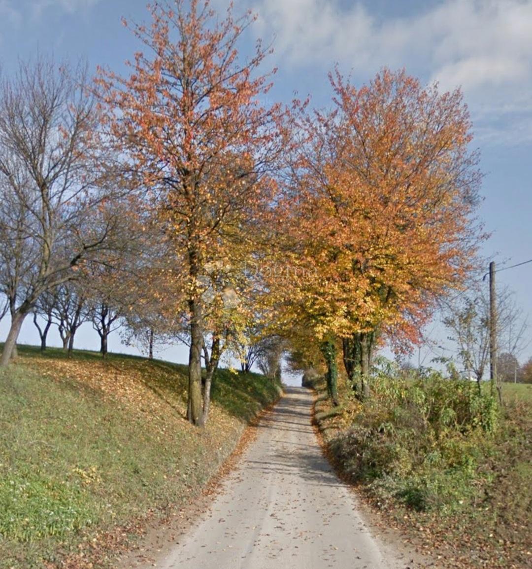 Terreno edificabile Ogulin, 5.666m2