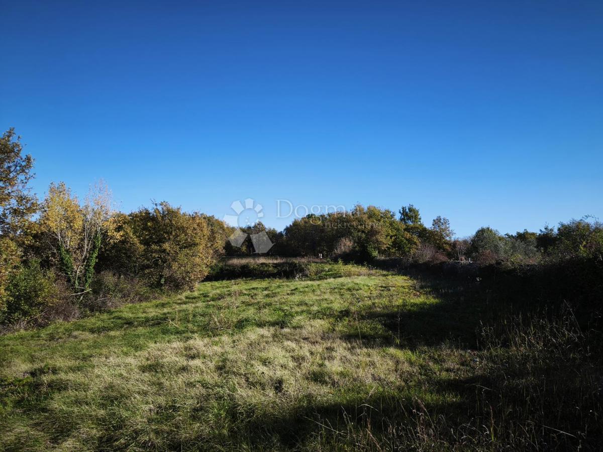 Terreno edificabile e agricolo 4.793 m² – Kringa, Tinjan