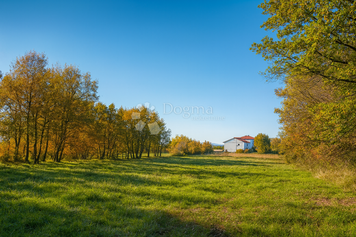 Terreno edificabile e agricolo 4.793 m² – Kringa, Tinjan