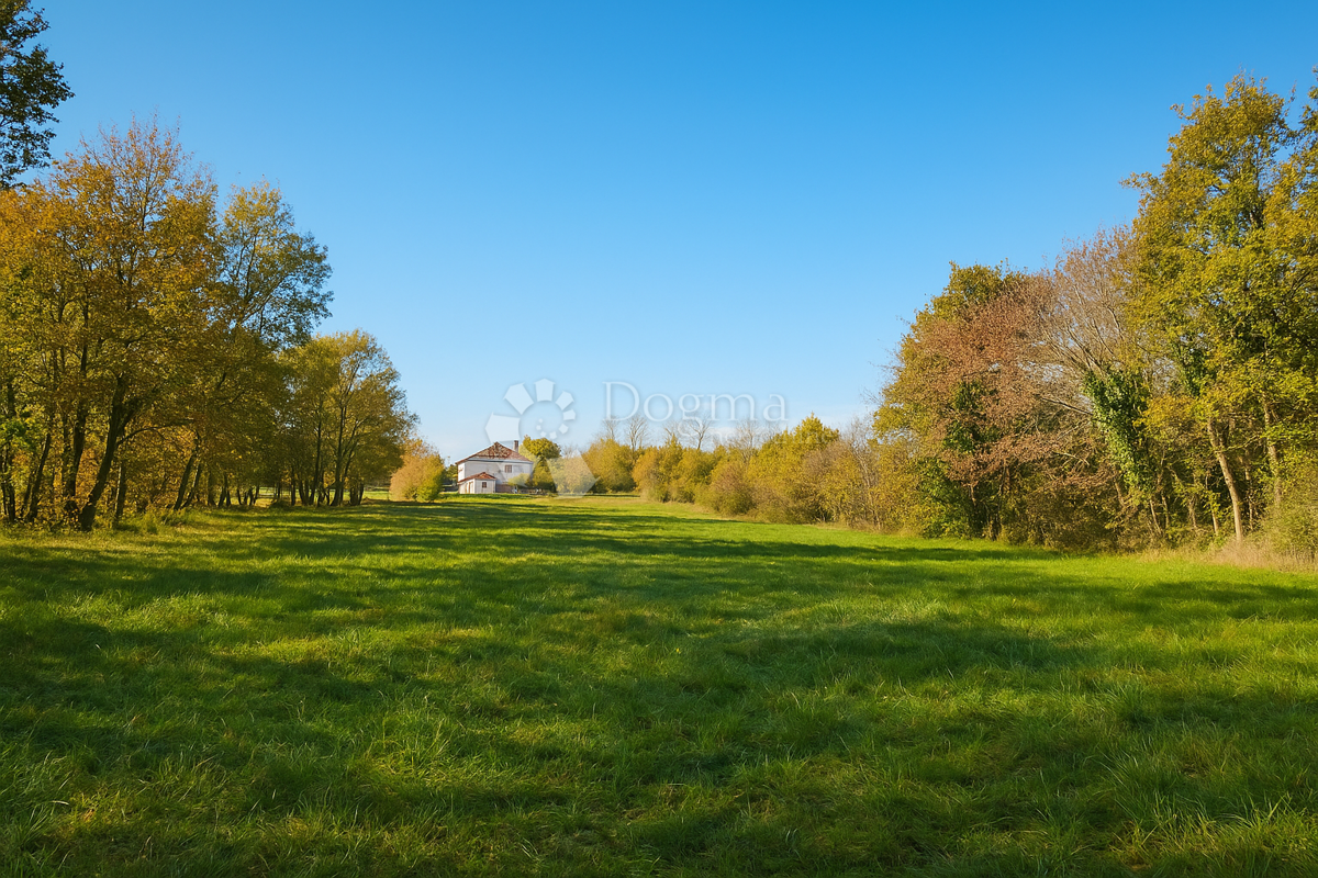 Terreno edificabile e agricolo 4.793 m² – Kringa, Tinjan