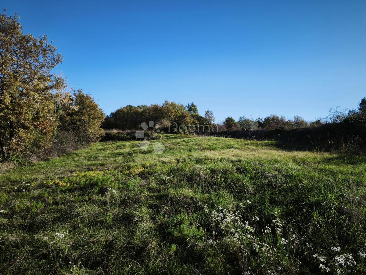 Terreno edificabile e agricolo 4.793 m² – Kringa, Tinjan