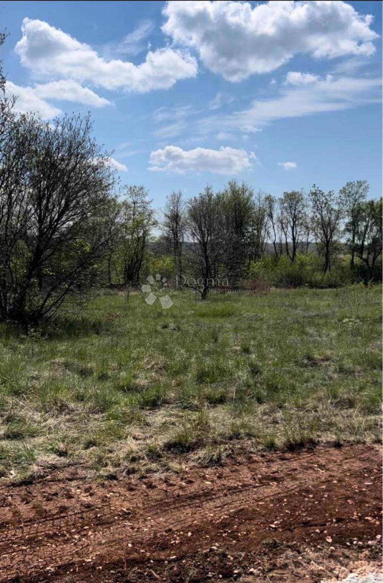 Tinjan - Ottimo terreno edificabile, 855 m², forma adeguata