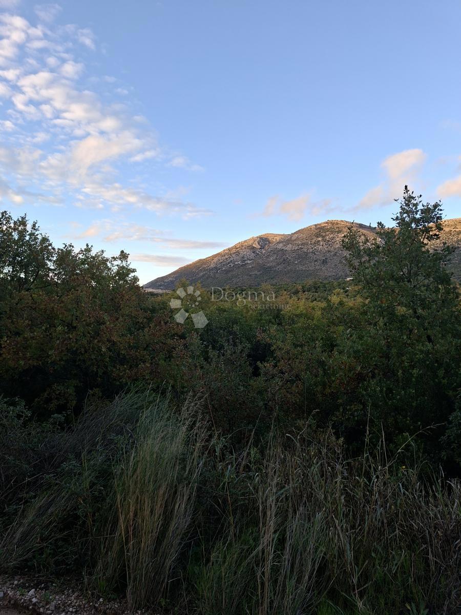 Terreno agricolo Močići, Konavle, 4.460m2