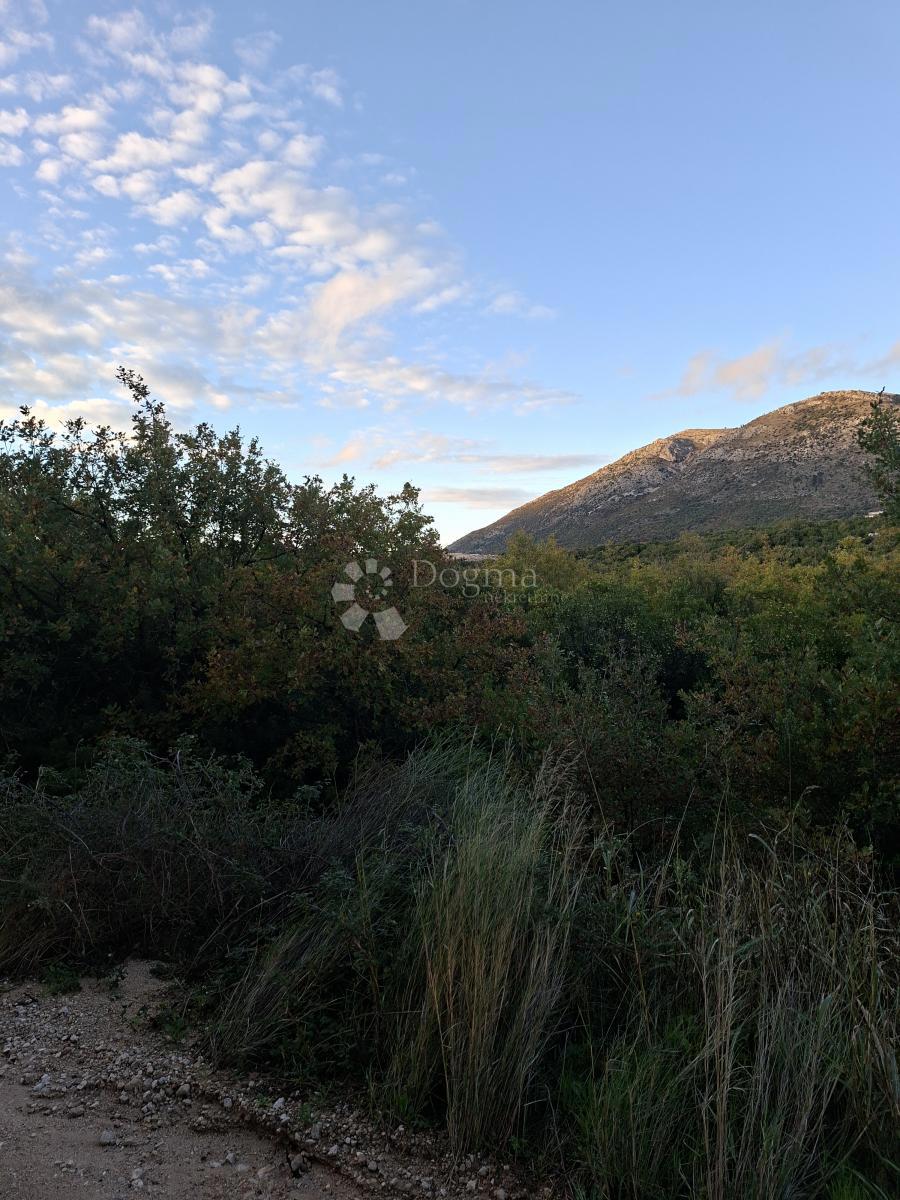 Terreno agricolo Močići, Konavle, 4.460m2